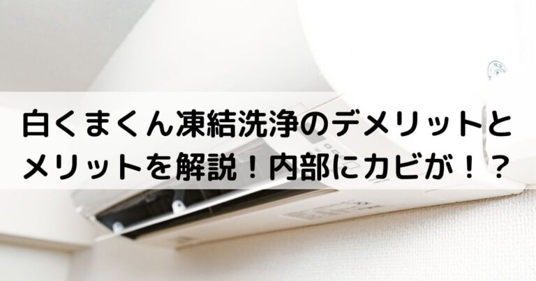 白くまくん凍結洗浄のデメリットとメリットを解説！内部にカビが！？