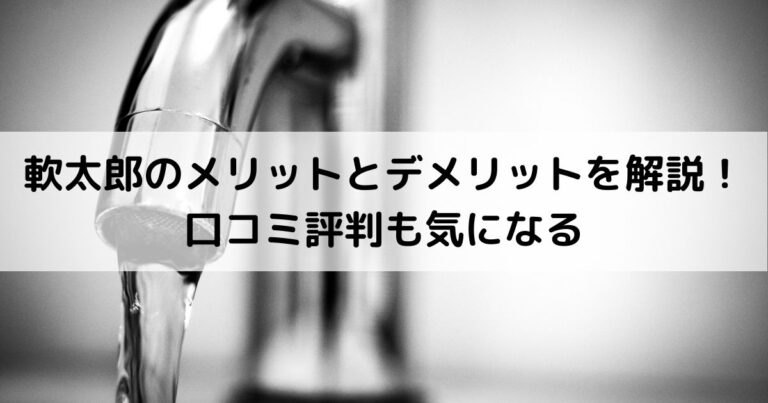 軟太郎のメリットとデメリットを解説！口コミ評判も気になる