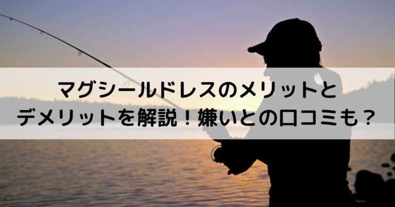 マグシールドレスのメリットとデメリットを解説！嫌いとの口コミも？